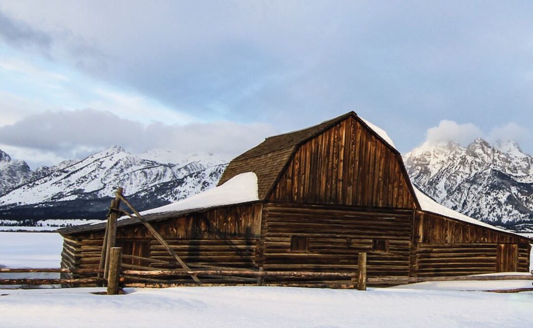 Paragon Wealth, Financial Advisors