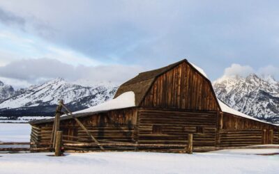 Navigating a Volatile Quarter