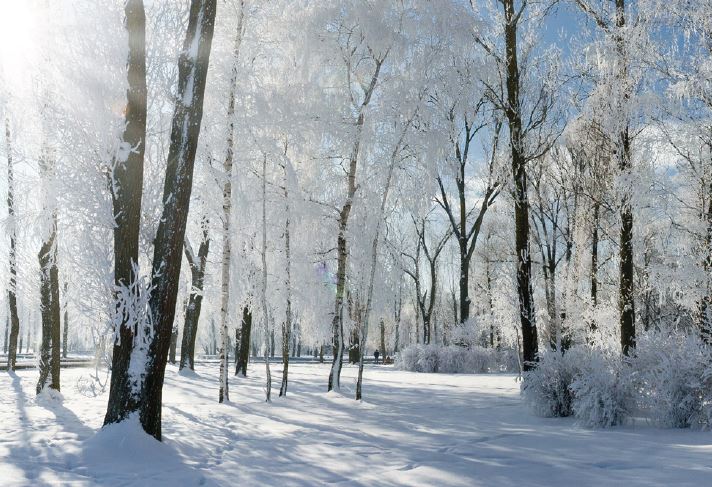 Paragon Wealth, Financial Advisors