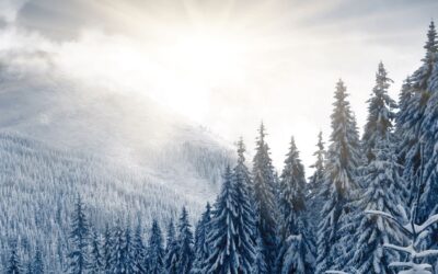 Turbulence… Then a Turnaround with Results