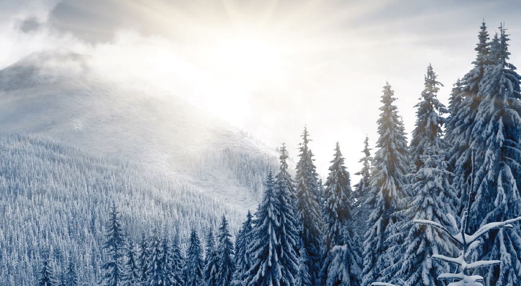 Paragon Wealth, Financial Advisors