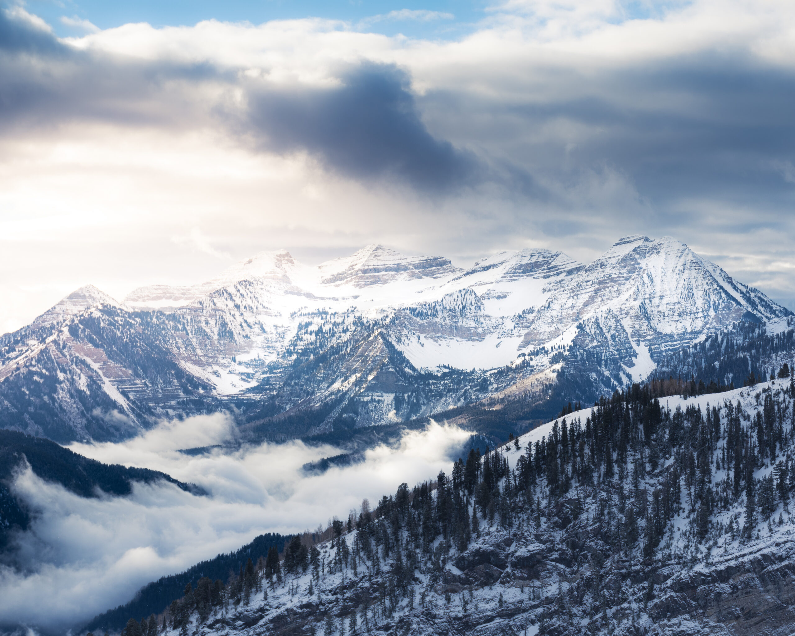 2026 Investment Outlook: Liquidity-Driven Growth with an Eye on Risk